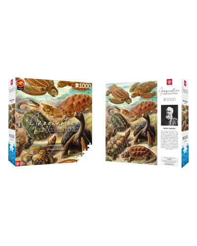 Puzzle Imagination Ernst Haeckel Chelonia / Żółwie morskie 1000 elementów Puzzle Imagination Ernst Haeckel Chelonia / Żółwie morskie 1000 elementów