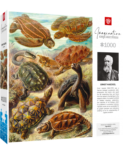 Puzzle Imagination Ernst Haeckel Chelonia / Żółwie morskie 1000 elementów Puzzle Imagination Ernst Haeckel Chelonia / Żółwie morskie 1000 elementów