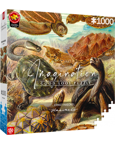 Puzzle Imagination Ernst Haeckel Chelonia / Żółwie morskie 1000 elementów Puzzle Imagination Ernst Haeckel Chelonia / Żółwie morskie 1000 elementów