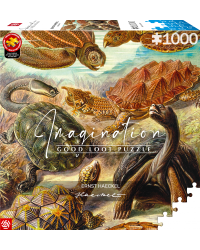 Puzzle Imagination Ernst Haeckel Chelonia / Żółwie morskie 1000 elementów Puzzle Imagination Ernst Haeckel Chelonia / Żółwie morskie 1000 elementów