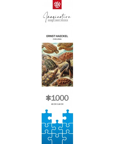 Puzzle Imagination Ernst Haeckel Chelonia / Żółwie morskie 1000 elementów Puzzle Imagination Ernst Haeckel Chelonia / Żółwie morskie 1000 elementów