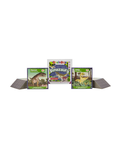 BrainBox Dinozaury 