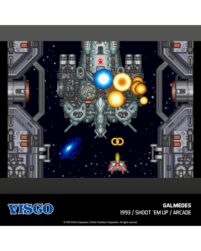 Visco Arcade 1 Evercade