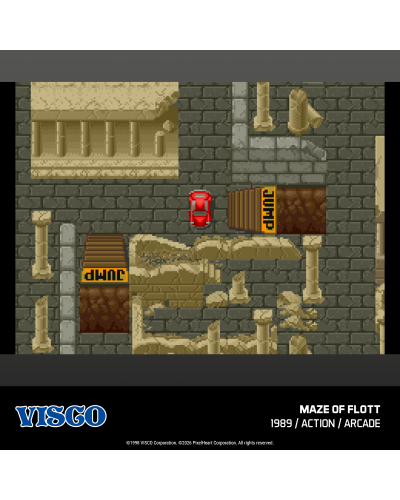 Visco Arcade 1 Evercade