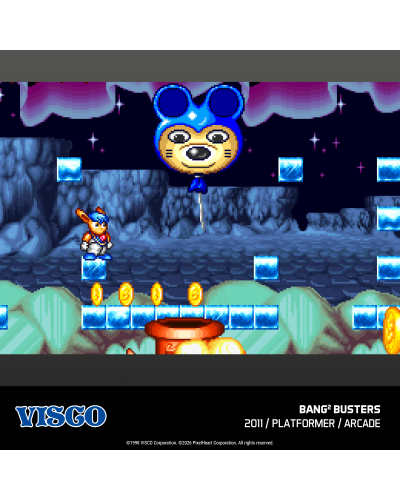 Visco Arcade 2 Evercade