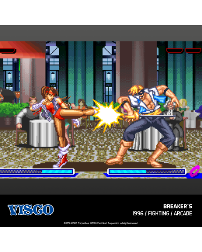 Visco Arcade 2 Evercade