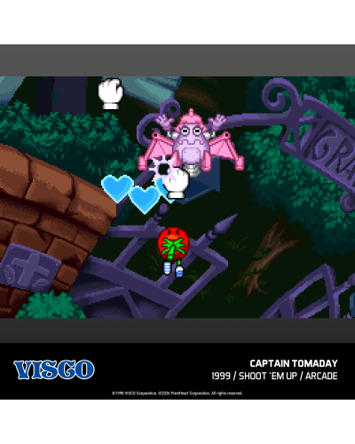 Visco Arcade 2 Evercade