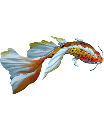 Koi (edycja polska) Koi (edycja polska)