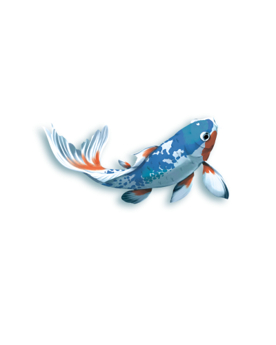 Koi (edycja polska) Koi (edycja polska)