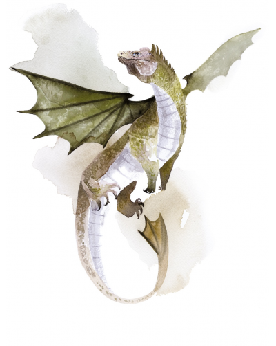 Na Skrzydłach Smoków Gra Planszowa Na Skrzydłach Smoków Gra Planszowa