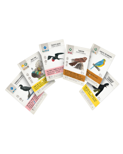 Na skrzydłach Ptaki Ameryk Na skrzydłach Ptaki Ameryk