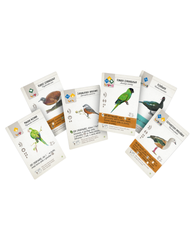 Na skrzydłach Ptaki Ameryk Na skrzydłach Ptaki Ameryk