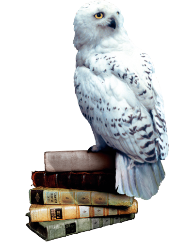 Harry Potter i Czytacz Myśli