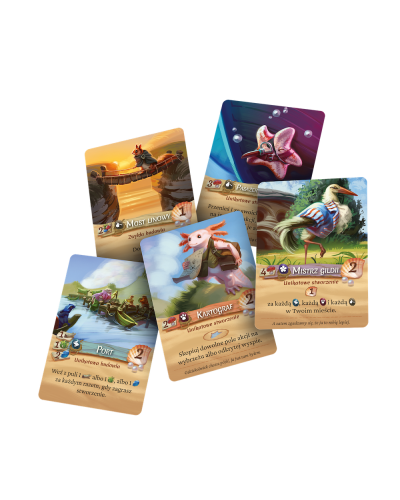 Everdell Dalekobrzeg 