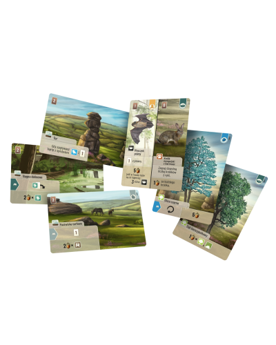 Leśne rozdanie Dartmoor Leśne rozdanie Dartmoor