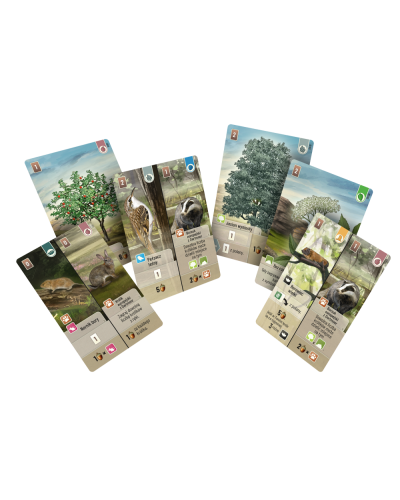 Leśne rozdanie Dartmoor Leśne rozdanie Dartmoor