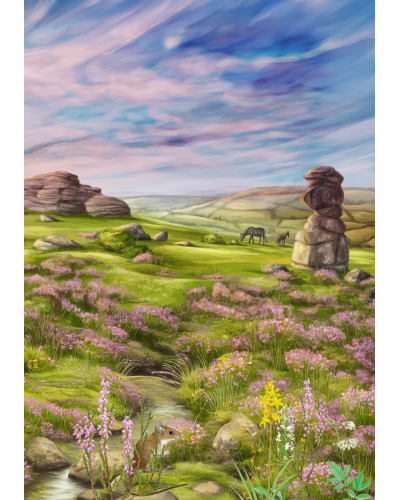 Leśne rozdanie Dartmoor Leśne rozdanie Dartmoor