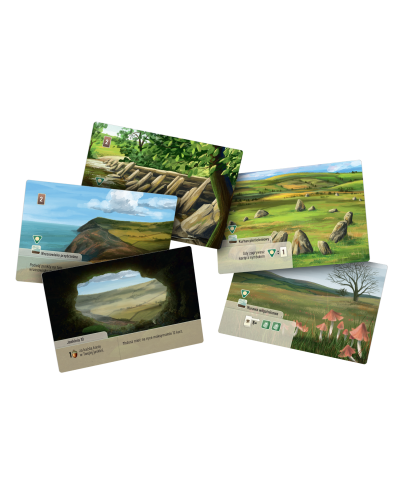 Leśne rozdanie Dartmoor Exmoor