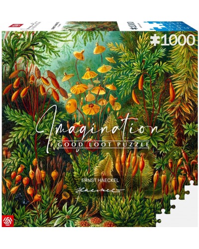 Puzzle Imagination Ernst Haeckel Muscinae 1000 Elementów Puzzle Imagination Ernst Haeckel Muscinae 1000 Elementów