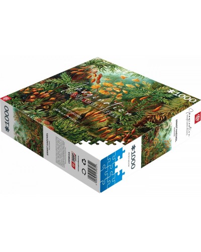 Puzzle Imagination Ernst Haeckel Muscinae 1000 Elementów Puzzle Imagination Ernst Haeckel Muscinae 1000 Elementów
