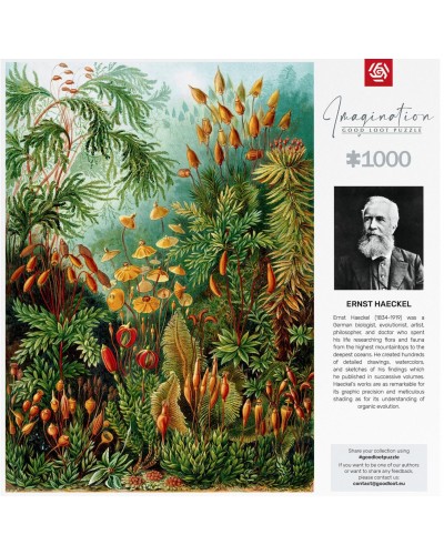 Puzzle Imagination Ernst Haeckel Muscinae 1000 Elementów Puzzle Imagination Ernst Haeckel Muscinae 1000 Elementów