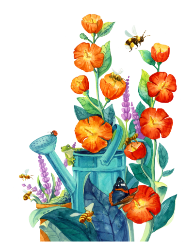 Pergola Gra planszowa + dodatkowe żetony lawendy!