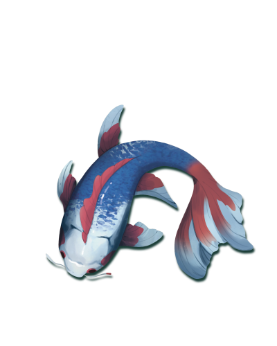 Koi (edycja polska) Koi (edycja polska)