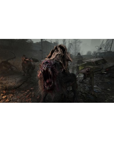 METRO 2039 Edycja kolekcjonerska PC + DLC