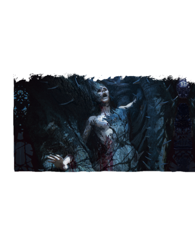 Zona Życzenie Szperacza