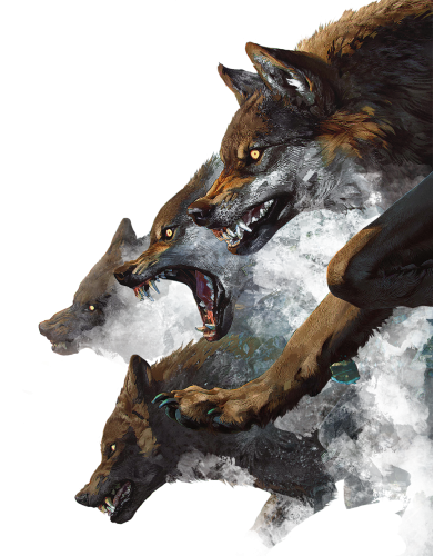 Wiedźmin Stary Świat Zestaw przygód Dodatek