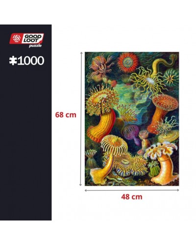 Puzzle Imagination Ernst Haeckel Stworzenia morskie 1000 elementów Promocja Ferie Zimowe
