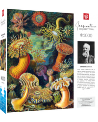 Puzzle Imagination Ernst Haeckel Stworzenia morskie 1000 elementów Promocja Ferie Zimowe