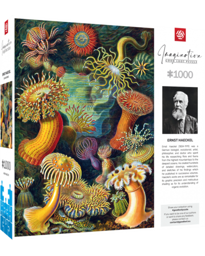 Puzzle Imagination Ernst Haeckel Stworzenia morskie 1000 elementów Promocja Ferie Zimowe