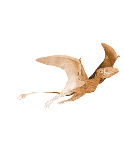 First Giants Muzeum paleontologiczne