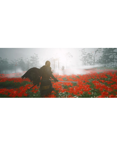 Ghost of Tsushima Director's Cut PS5 + gratis Ghost of Tsushima Director's Cut PS5 + gratis