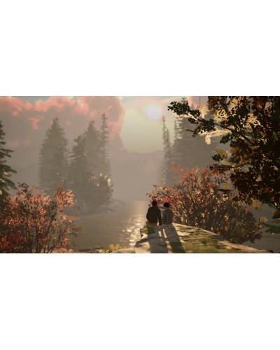 Life is Strange 2 Nintendo Switch