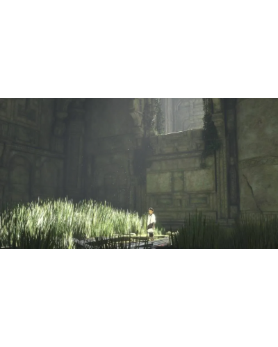 The Last Guardian PS4 + gratis