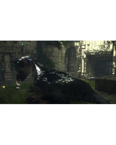 The Last Guardian PS4 + gratis