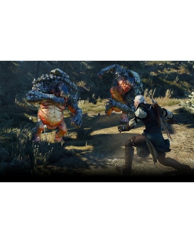 Wiedźmin 3 Dziki Gon Nintendo Switch Wiedźmin 3 Dziki Gon Nintendo Switch