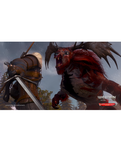 Wiedźmin 3 Dziki Gon Edycja Gry Roku + Jubileuszowy Steelbook + Jubileuszowy Steelbook PC