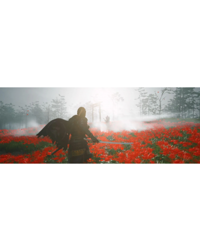 Ghost of Tsushima Director's Cut PS4 + gratis 