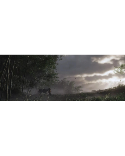 Ghost of Tsushima Director's Cut PS4 + gratis 