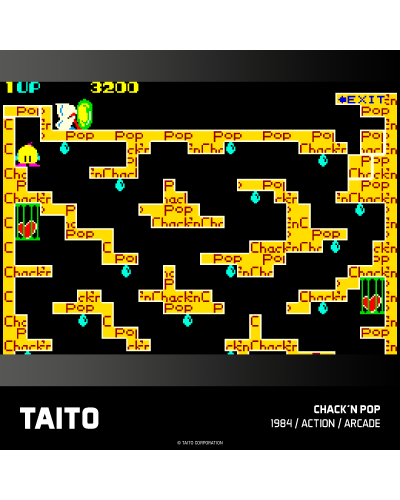 Taito Arcade 1 Evercade 