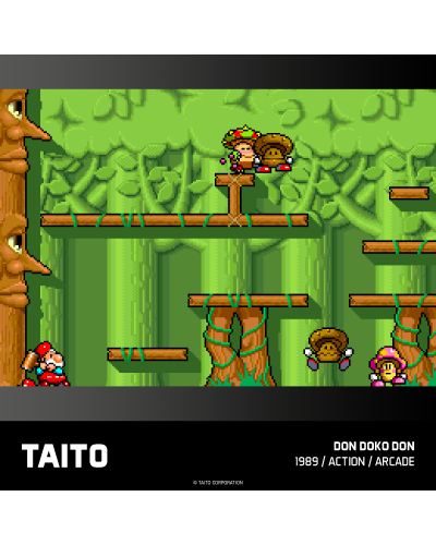 Taito Arcade 1 Evercade 