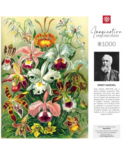 Puzzle Imagination Ernst Haeckel Orchidea / Orchid 1000 elementów Puzzle Imagination Ernst Haeckel Orchidea / Orchid 1000 elementów