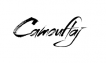 Camouflaj