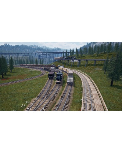 Railroads Online Pioneer Edition PS5 + nakładki na analogi