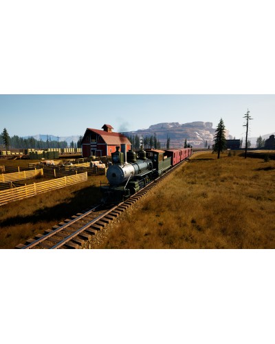 Railroads Online Pioneer Edition PS5 + nakładki na analogi