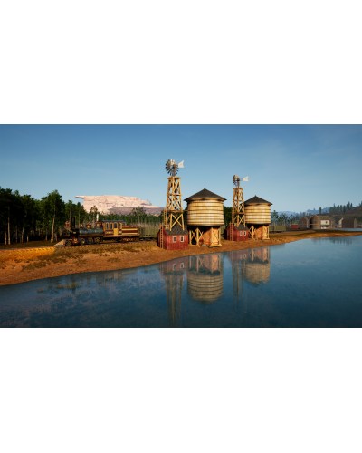 Railroads Online Pioneer Edition PS5 + nakładki na analogi