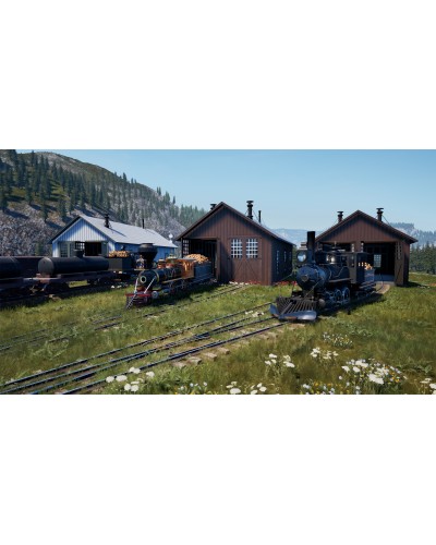 Railroads Online Pioneer Edition PS5 + nakładki na analogi